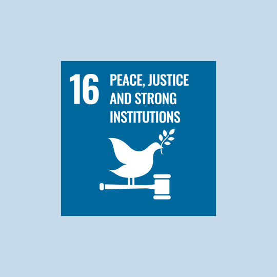 sdg 16